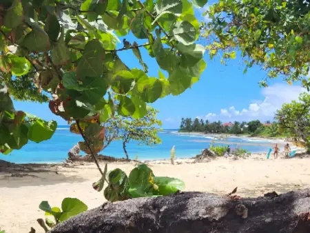 Maison plain-pied avec jacuzzi privé à Saint-François, Guadeloupe : photo 23