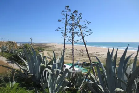 425894, Mar et Pinos Conil - Photo 18