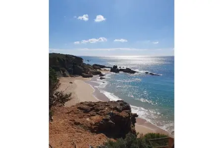 425894, Mar et Pinos Conil - Photo 20
