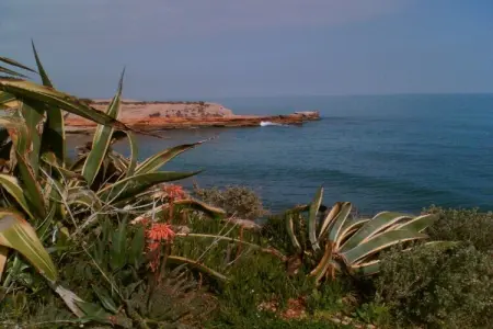 143421, Casa Salida del Sol - Photo 8