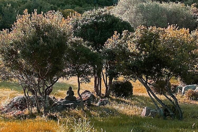 Gîte isolé en nature à 5 km de la mer, Loiri Porto San Paolo - Photo 11