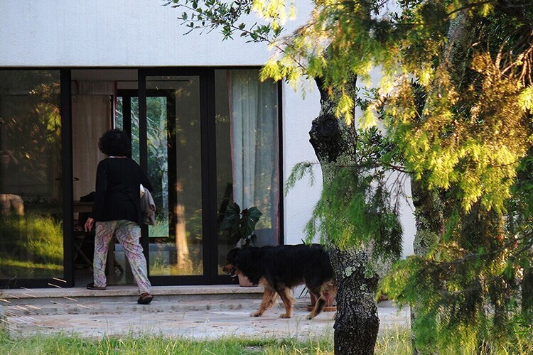 Gîte isolé en nature à 5 km de la mer, Loiri Porto San Paolo - Photo 12