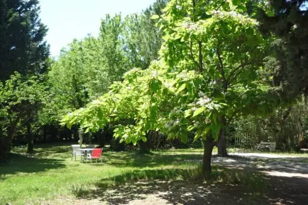 75038, Mas de la Pomme de Pin - Photo 7
