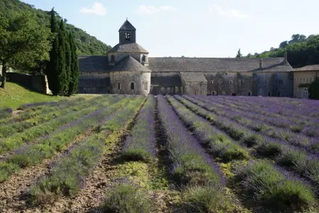 75038, Mas de la Pomme de Pin - Photo 31