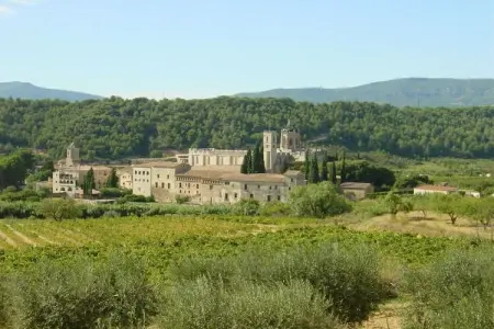 Finca avec 3 logements et piscine chauffée à Torrelles de Foix : photo 31