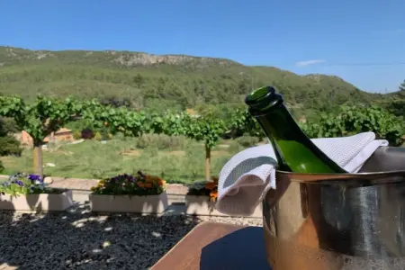 Finca avec 3 logements et piscine chauffée à Torrelles de Foix : photo 34
