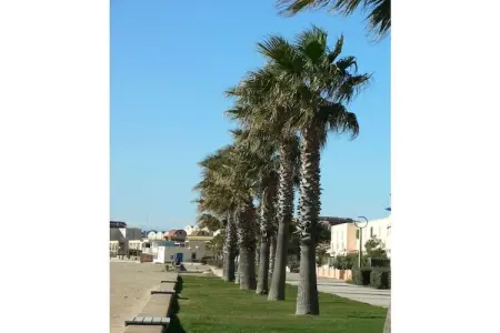 Maison 55 m² Gruissan, piscine et 2 terrasses : photo 15