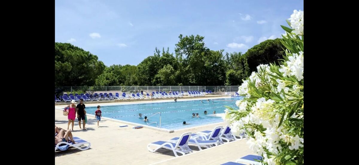 Bungalow 6 pers. avec piscine à Puget-sur-Argens - Photo 14