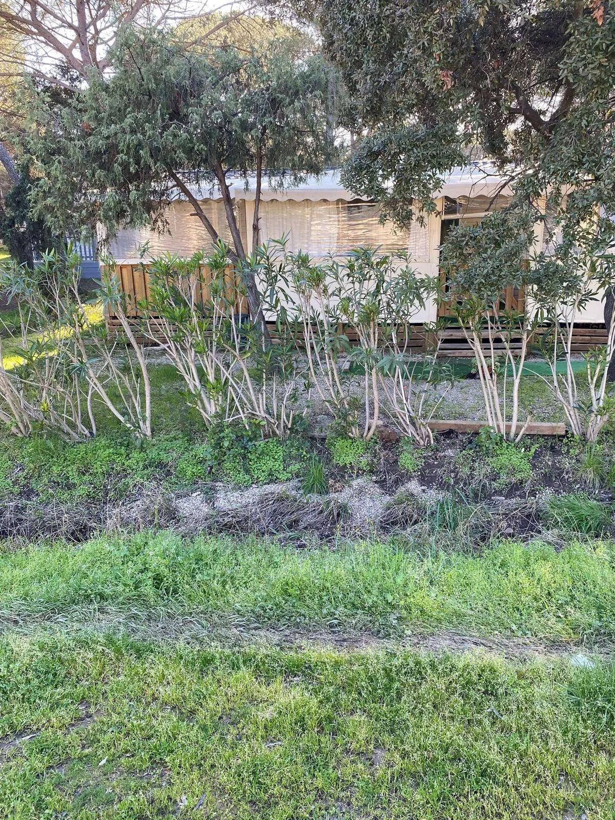 Bungalow 6 pers. avec piscine à Puget-sur-Argens - Photo 33