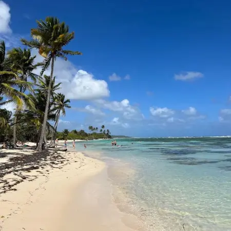 Appartement climatisé 58 m² avec terrasse à Sainte-Anne, Guadeloupe : photo 11