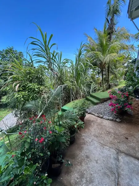 Appartement 40 m² vue mer au Robert, terrasse et barbecue : photo 7
