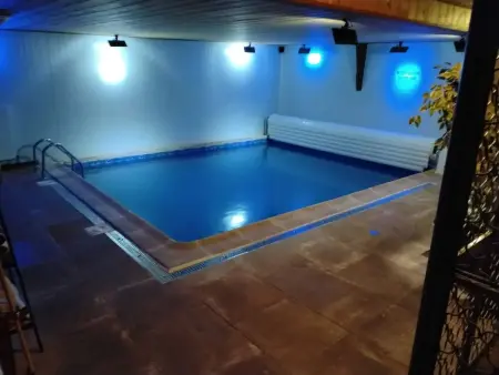 Villa familiale 350 m² avec piscine privée à Gouttières : photo 52