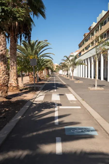 Studio 48 m² avec terrasse et piscine à Güimar : photo 7