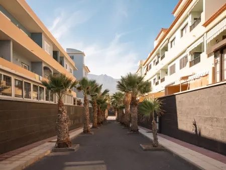 Studio 48 m² avec terrasse et piscine à Güimar : photo 8