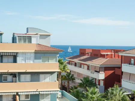 Studio 48 m² avec terrasse et piscine à Güimar : photo 31
