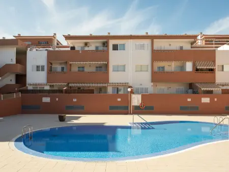 Studio 48 m² avec terrasse et piscine à Güimar : photo 33