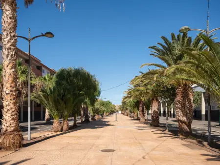 Studio 48 m² avec terrasse et piscine à Güimar : photo 44