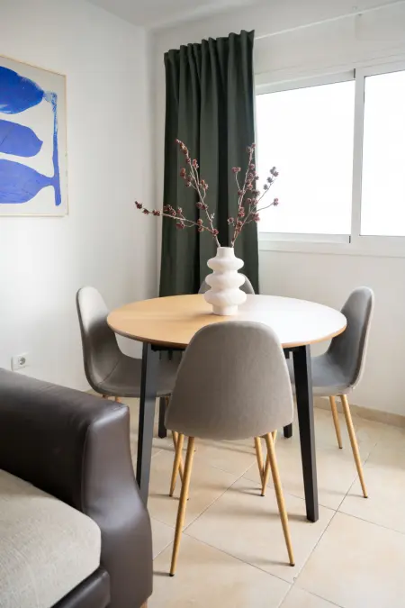 Studio 48 m² avec terrasse et piscine à Güimar : photo 50