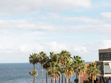 Appartement Punta Larga à Candelaria, balcon vue mer : photo 5