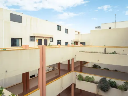 Studio Las Olas 80 m² avec terrasse à El Médano : photo 12