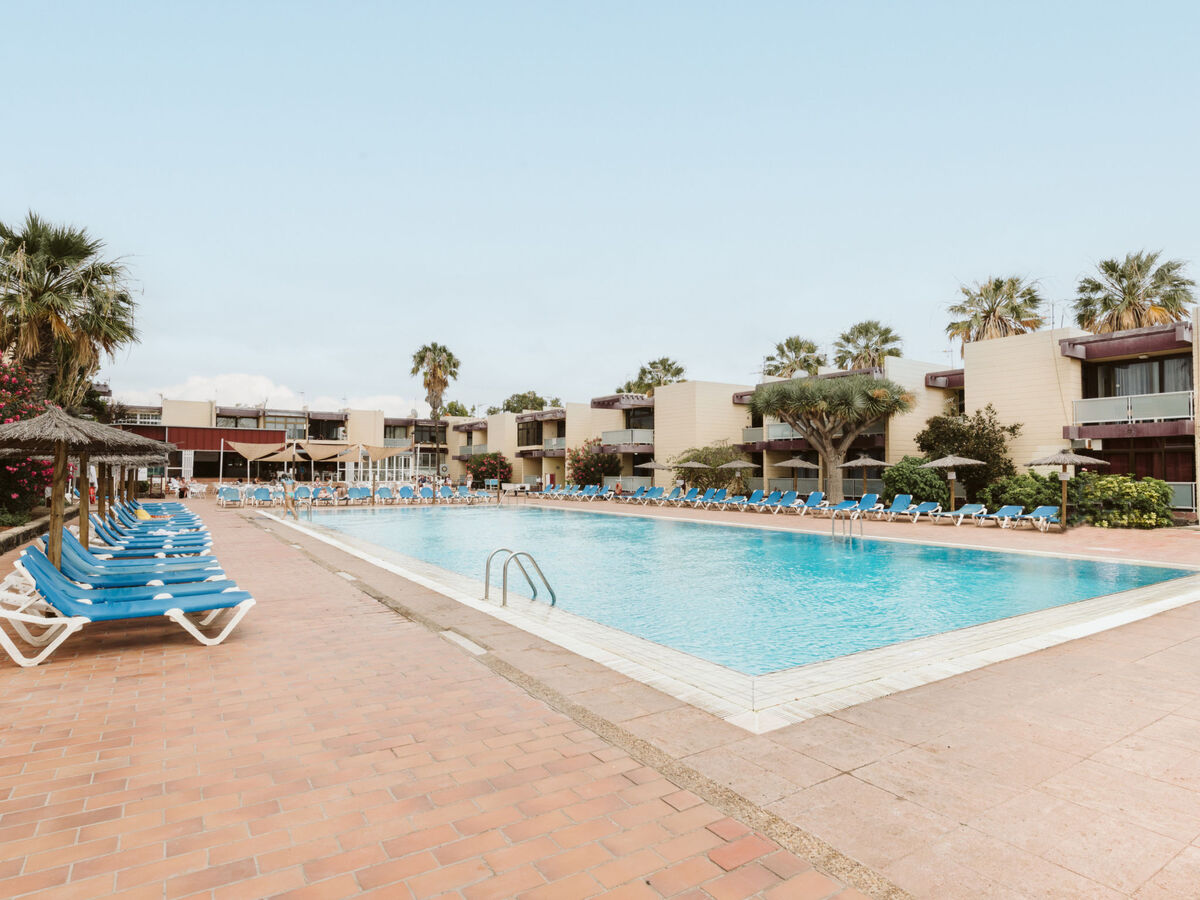 Studio 62 m² avec terrasse à Arona, piscine commune - Photo 5