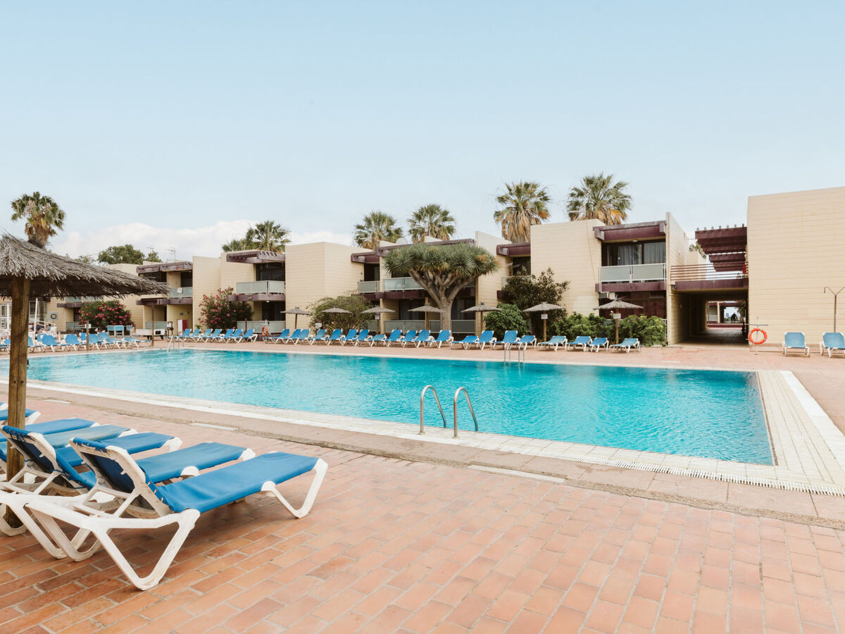 Studio 62 m² avec terrasse à Arona, piscine commune - Photo 37