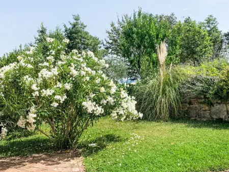 Bella Malini, maison 8 pers. avec piscine à Labin : photo 32