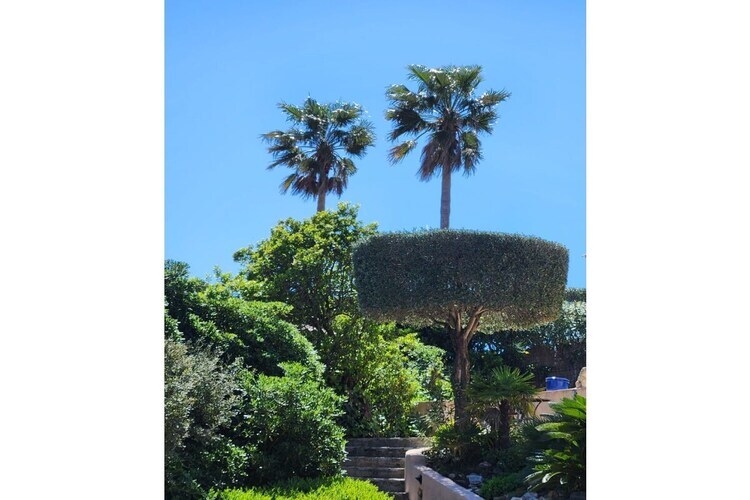 Villa Pierrugues avec piscine privée, vue mer à Cavalaire - Photo 5