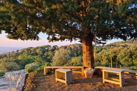 181604, Maison de vacances en Toscane avec 3 chambres - Photo 5