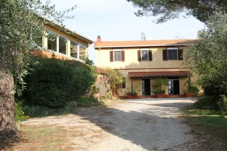 247198, Ferme à Cecina avec piscine - Photo 2