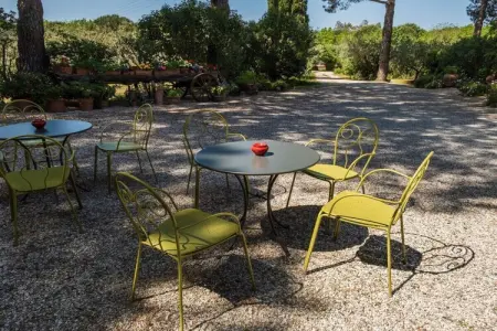 247198, Ferme à Cecina avec piscine - Photo 11