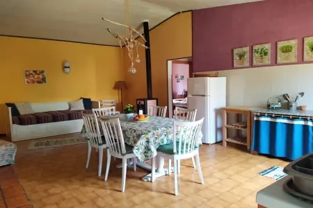 247198, Ferme à Cecina avec piscine - Photo 12