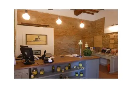 Maison de campagne avec piscine à débordement, Pontedera : photo 8