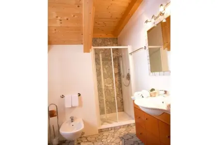 Appartement mansardé 65 m² aux Dolomites : photo 12