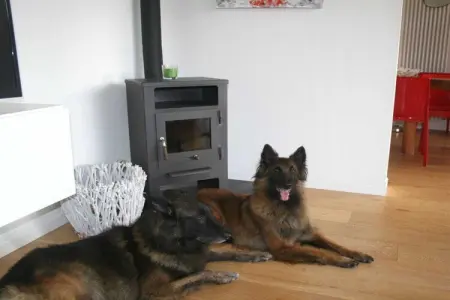 535625, Maison de vacances avec 1 chambre - Photo 19