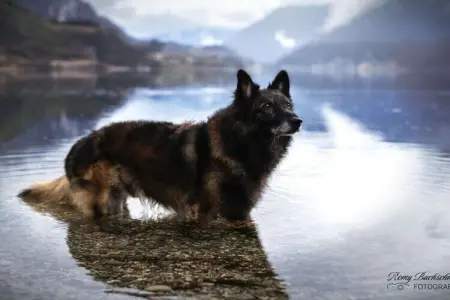 535625, Maison de vacances avec 1 chambre - Photo 30