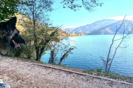 535625, Maison de vacances avec 1 chambre - Photo 35