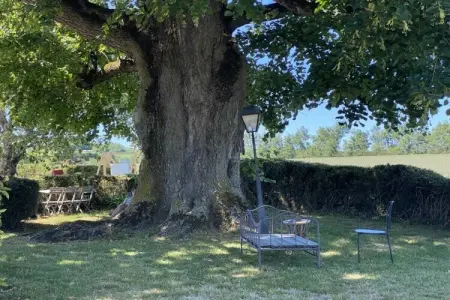 Maison ancienne grange 4 personnes avec piscine : photo 18