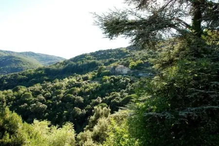 La Gardette, hameau 4 bâtiments pour 20 personnes à Colognac : photo 31