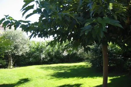70515, Maison de vacances à Sérignan avec piscine - Photo 2