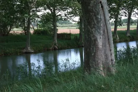 70515, Maison de vacances à Sérignan avec piscine - Photo 27