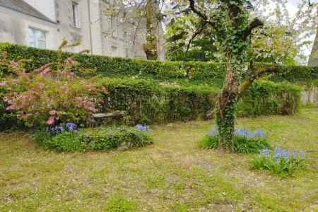 Maison familiale 3 chambres à L'Isle-Jourdain, grand jardin : photo 5