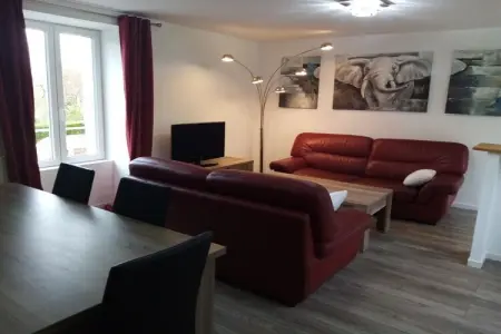 Maison familiale 3 chambres à L'Isle-Jourdain, grand jardin : photo 6