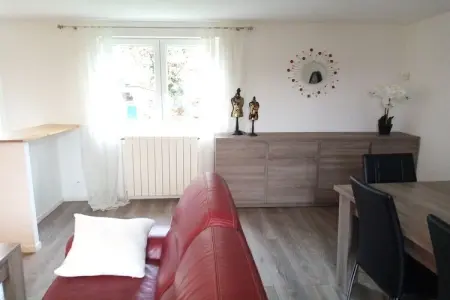 Maison familiale 3 chambres à L'Isle-Jourdain, grand jardin : photo 8