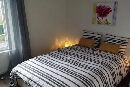 Maison familiale 3 chambres à L'Isle-Jourdain, grand jardin : photo 12