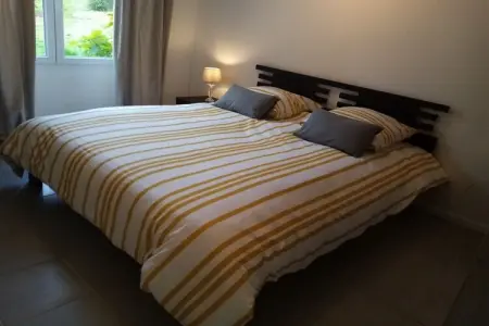Maison familiale 3 chambres à L'Isle-Jourdain, grand jardin : photo 14