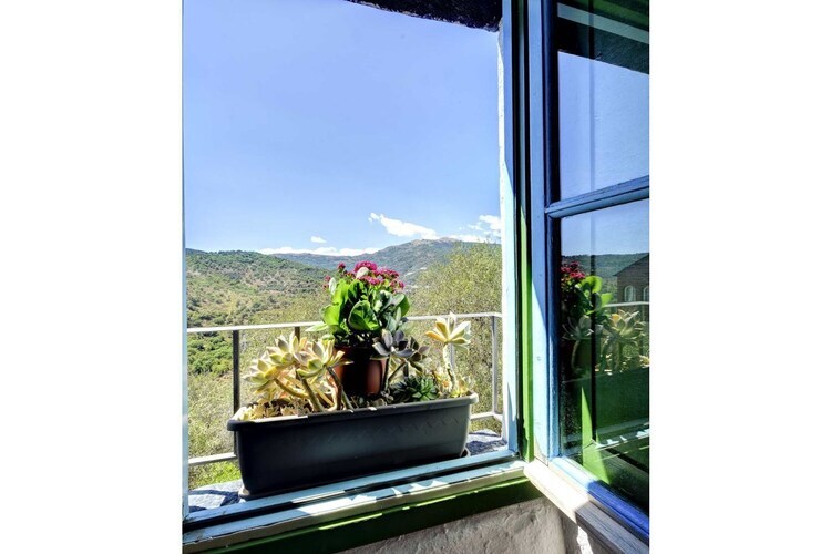 Maison en pierre à Civezza, vue sur les oliveraies - Photo 17
