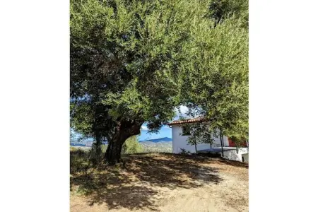 Casa Onda del Mare : maison 10 pers, vue mer en Sardaigne : photo 2