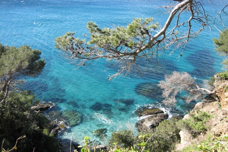 Maison Chez Erpolino, vue mer et piscine à La Croix-Valmer - Photo 19