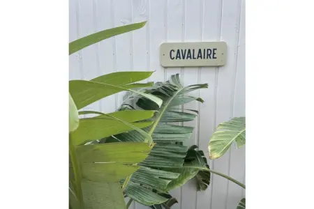 Maison 2 pièces avec accès direct plage à Cavalaire : photo 35